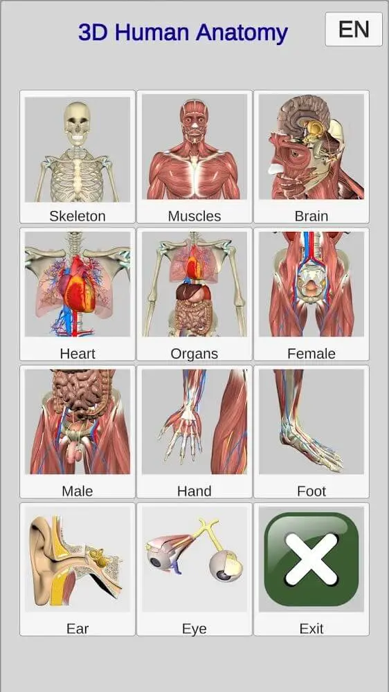 Screenshot of the 3D Anatomy app