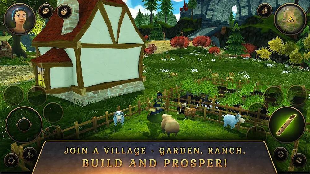 Screenshot of the 3D MMO Villagers Heroes game