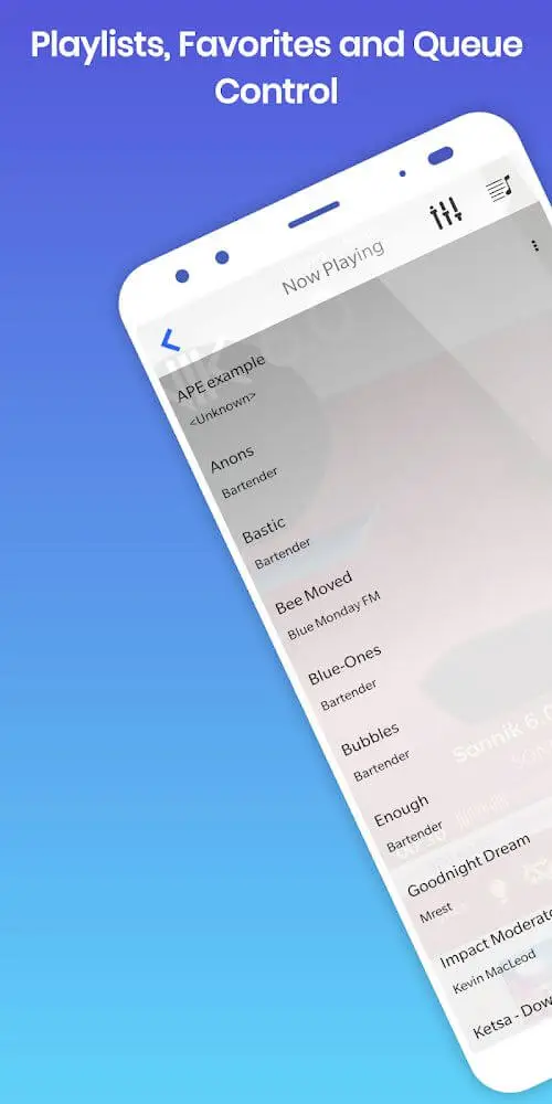 Screenshot of the 528 Player Pro app