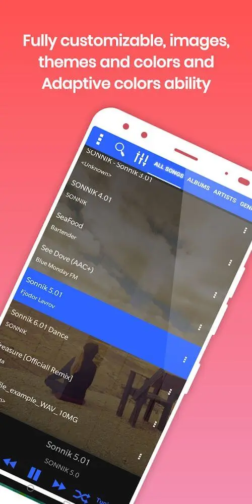 Screenshot of the 528 Player Pro app