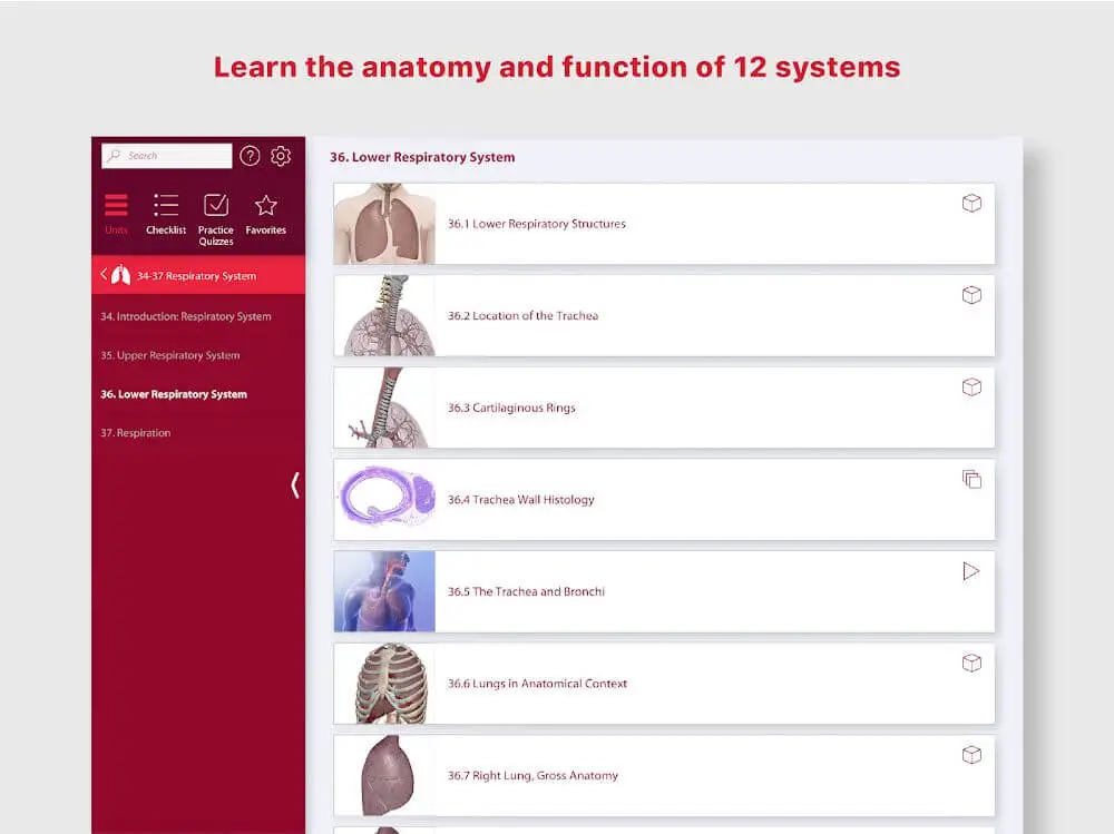 Screenshot of the Anatomy & Physiology game