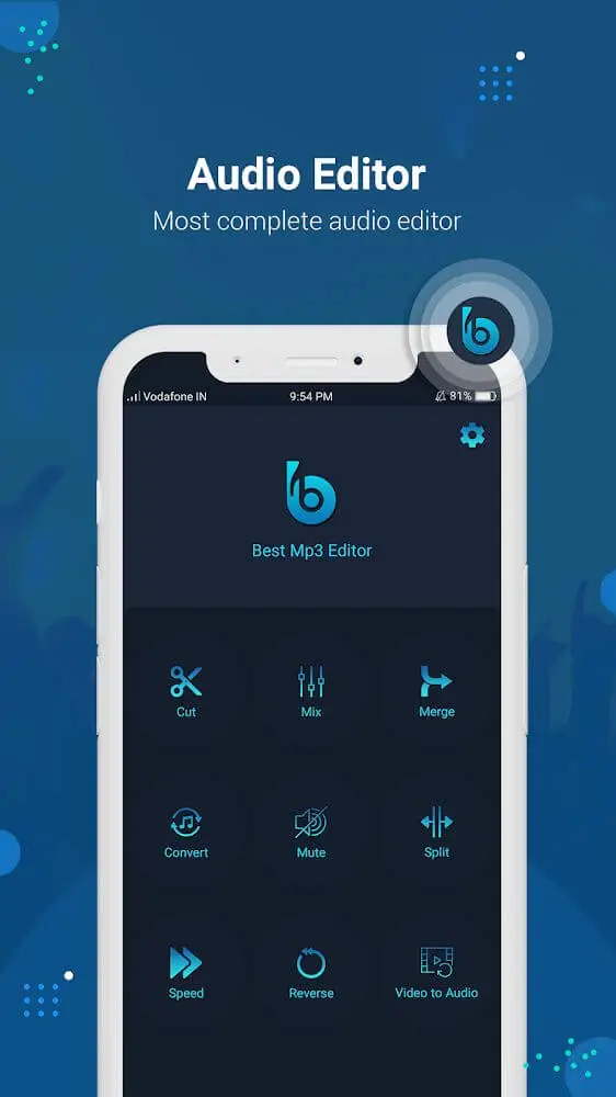Screenshot of the Audio Editor app