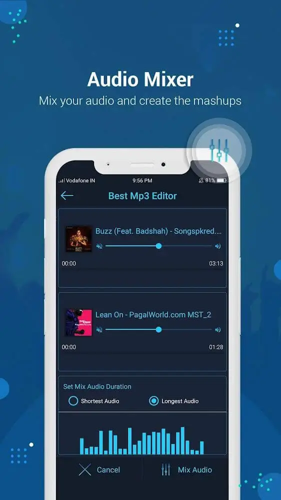 Screenshot of the Audio Editor app