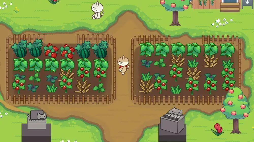 Screenshot of the Cat Forest game