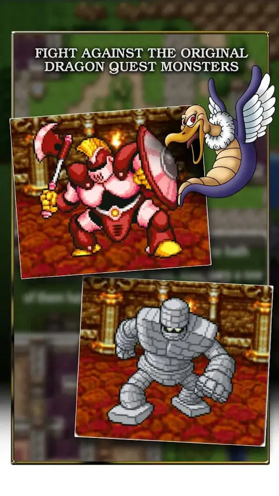 Screenshot of the DRAGON QUEST app