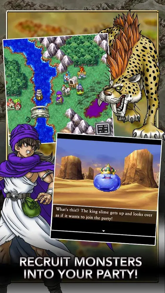 Screenshot of the DRAGON QUEST V app