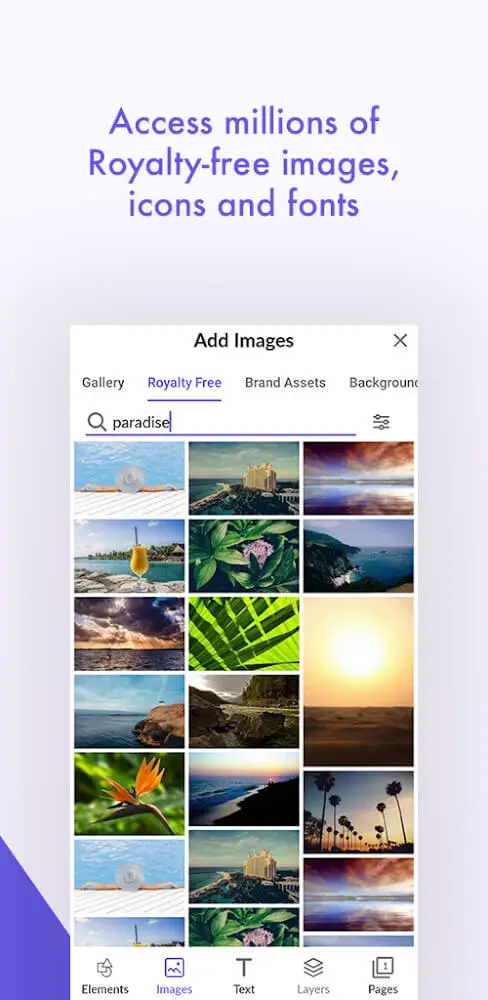 Screenshot of the Desygner app