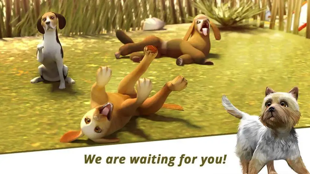 Screenshot of the Dog Hotel game