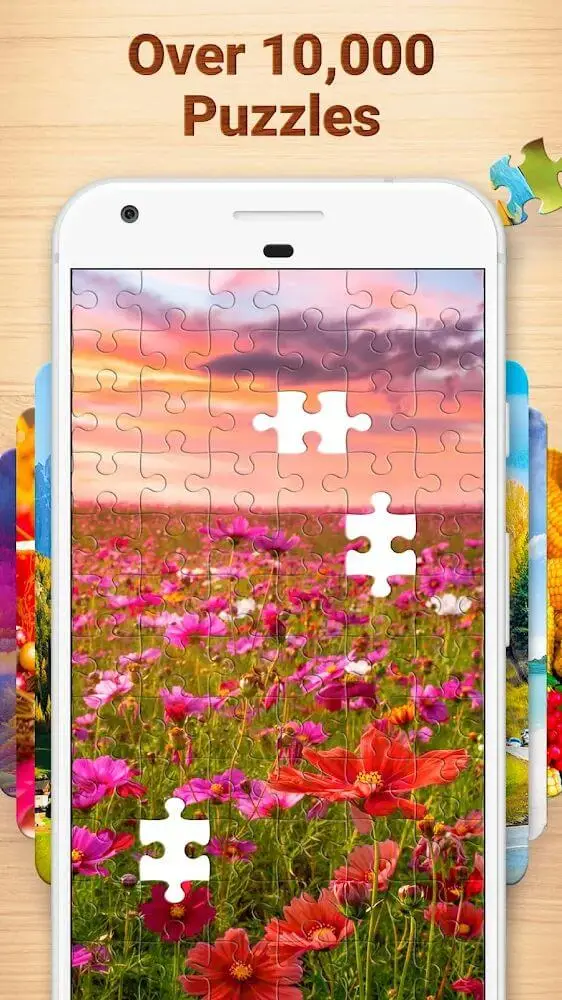 Screenshot of the Jigsaw Puzzles app