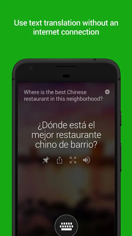 Screenshot of the Microsoft Translator app
