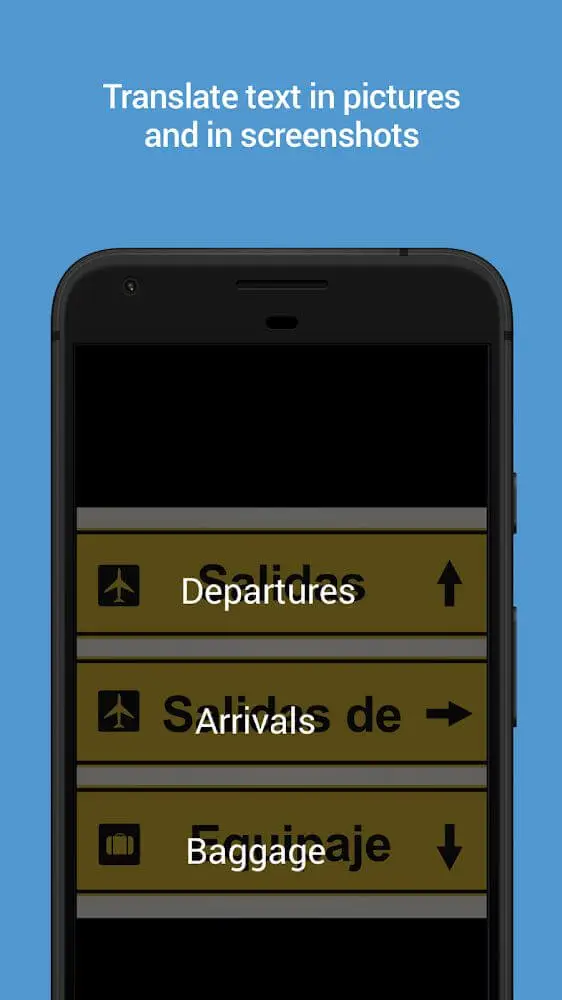Screenshot of the Microsoft Translator app