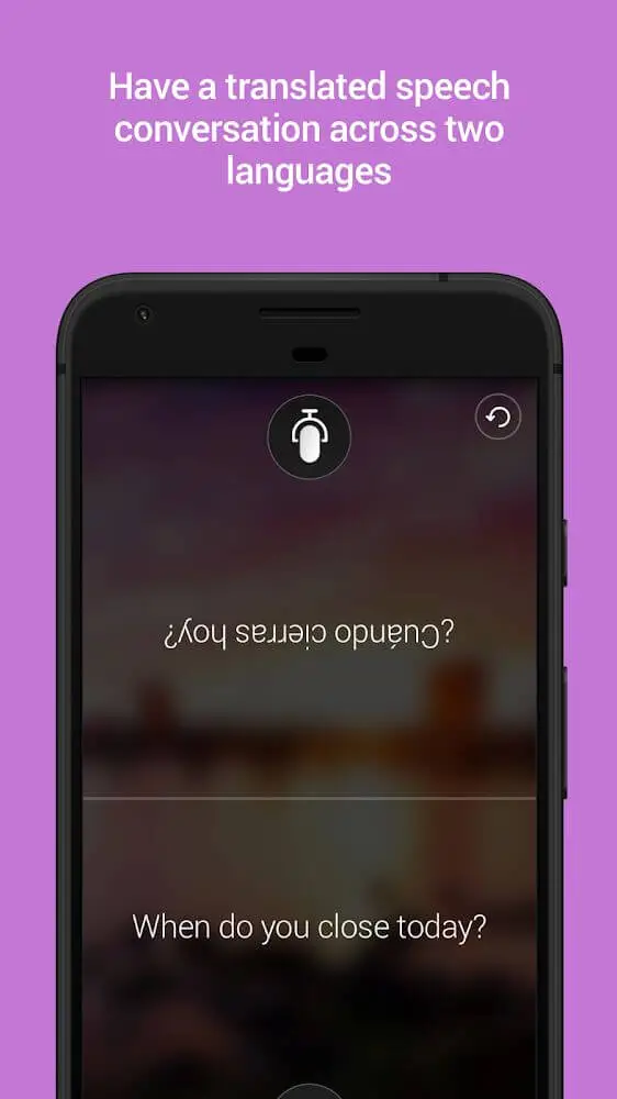 Screenshot of the Microsoft Translator app