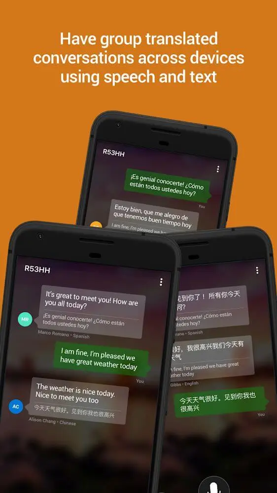 Screenshot of the Microsoft Translator app