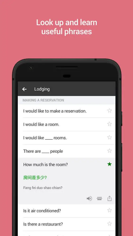 Screenshot of the Microsoft Translator app