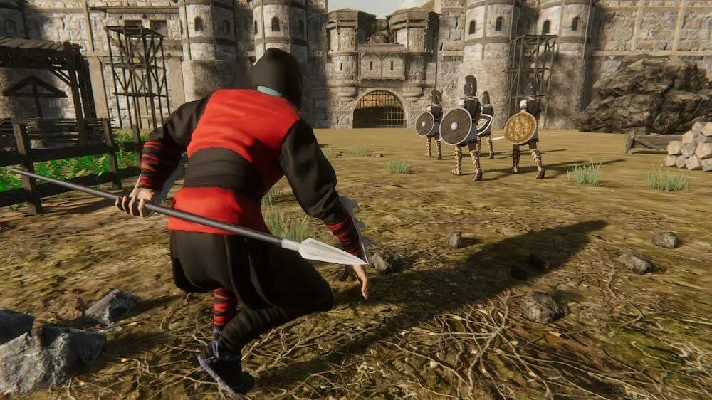 Screenshot of the Ninja Assassin's Fighter game