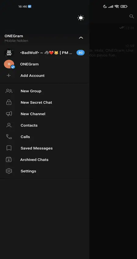Screenshot of the ONEGram app