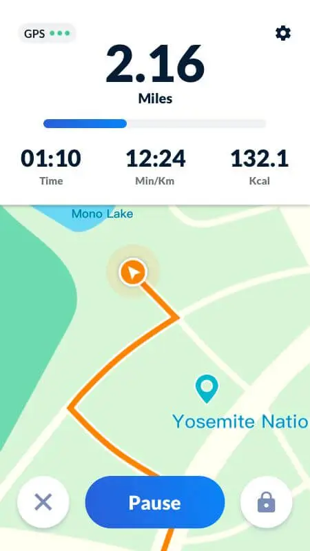 Screenshot of the Pedometer app