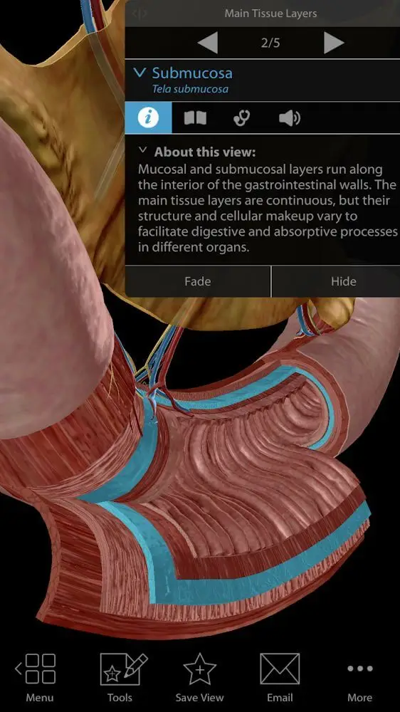 Screenshot of the Physiology & Pathology app
