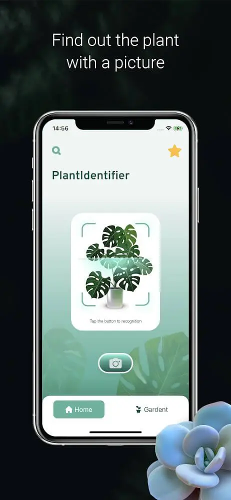 Screenshot of the Plant Identification app