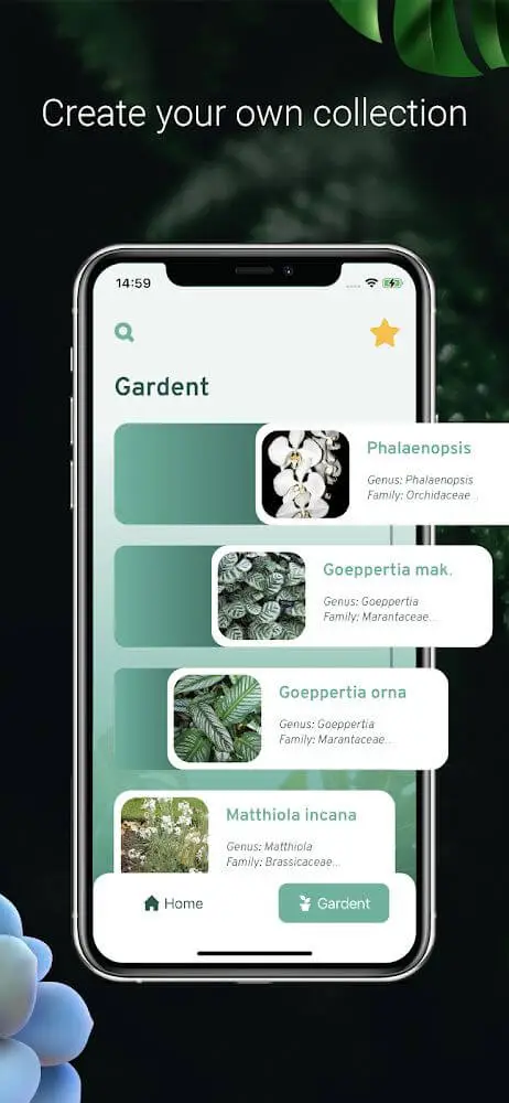 Screenshot of the Plant Identification app