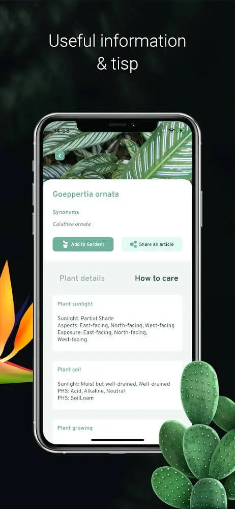 Screenshot of the Plant Identification app