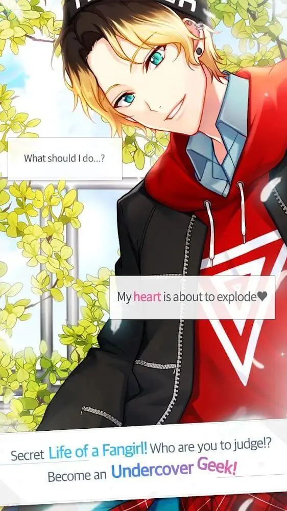 Screenshot of the SECRET Fan Crush app