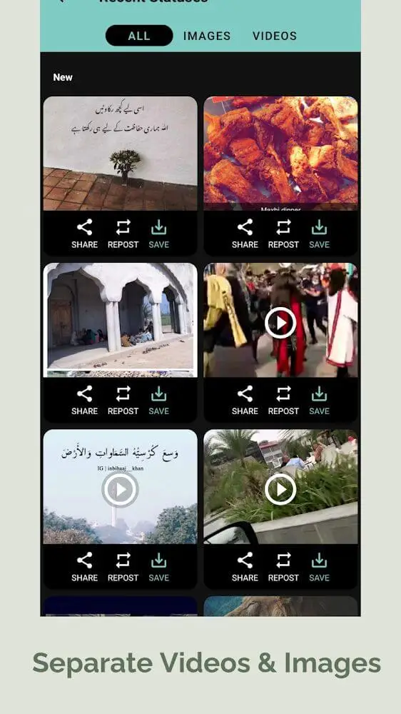 Screenshot of the Status Saver app