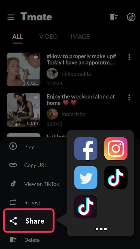 Screenshot of the Tmate - TikTok Downloader app