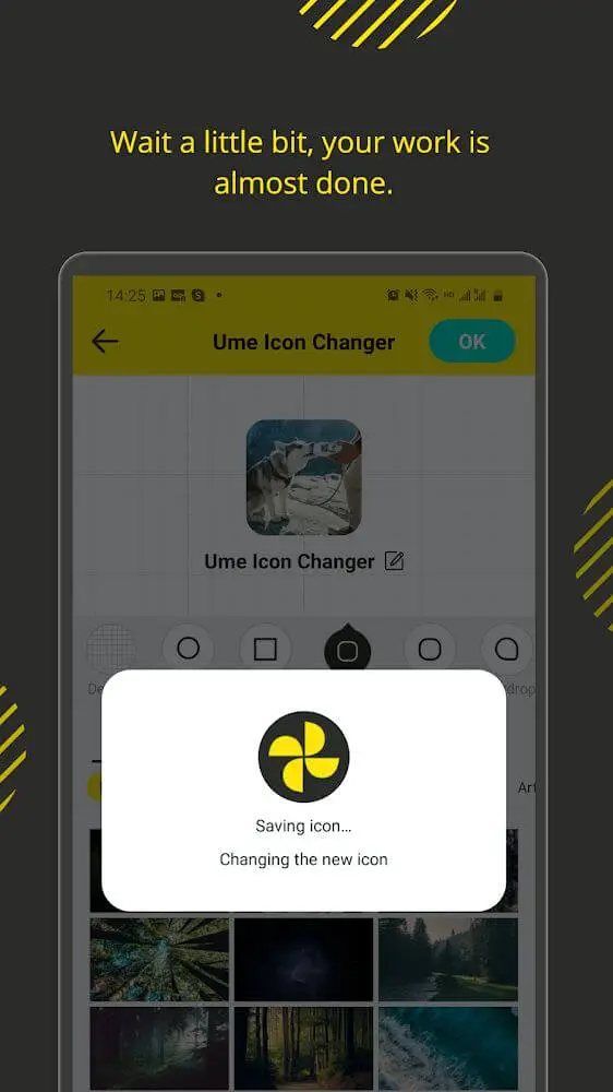 Screenshot of the Ume Icon Changer app