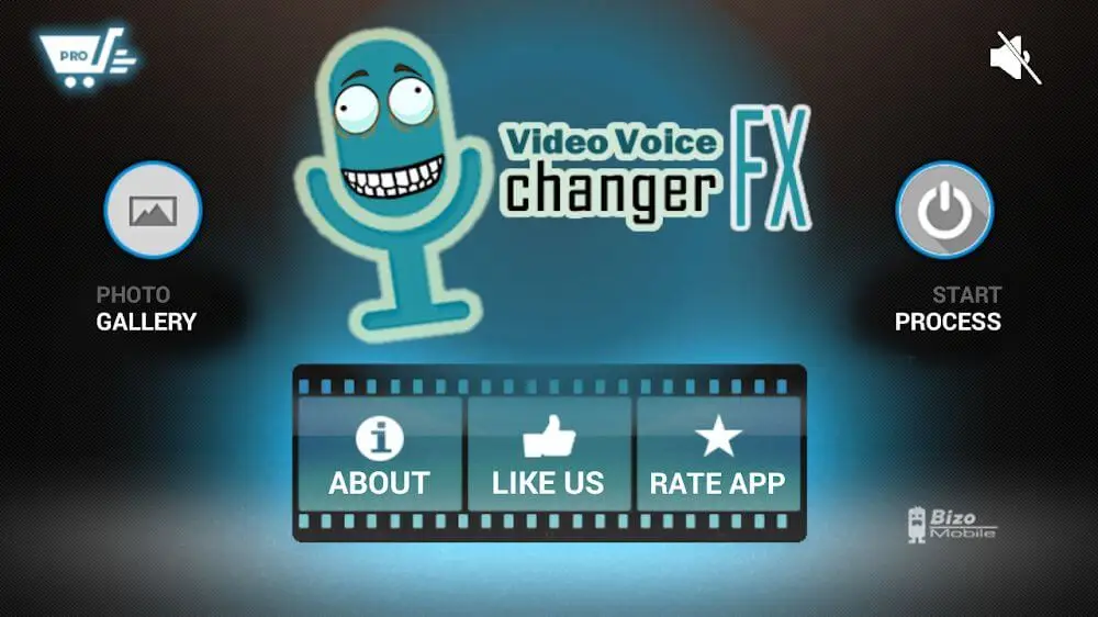 Screenshot of the Video Voice Changer FX game