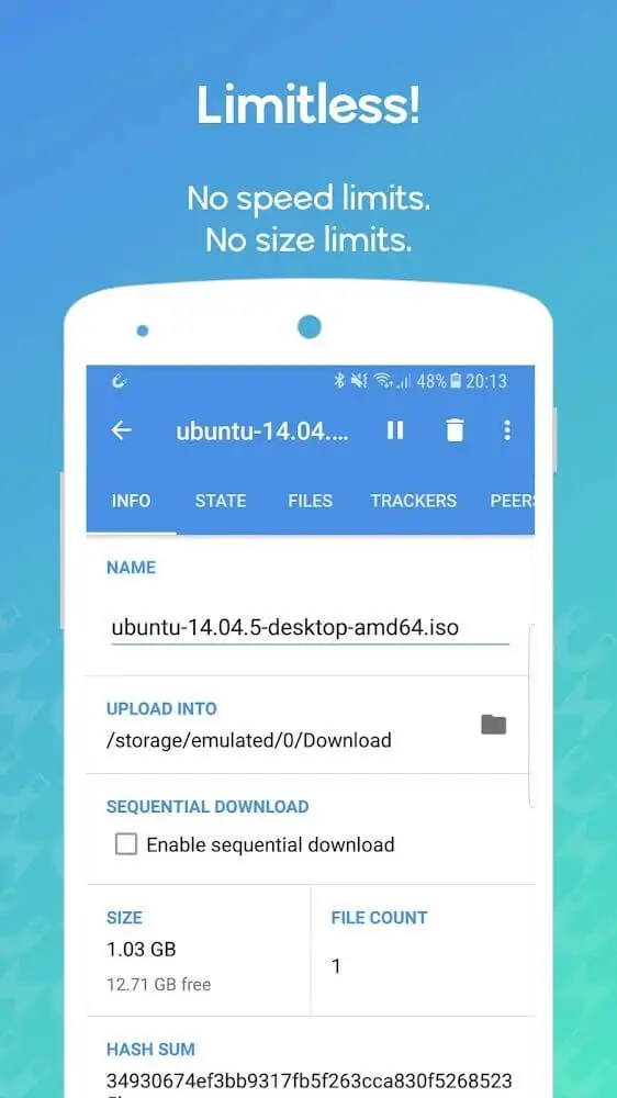 Screenshot of the WeTorrent app