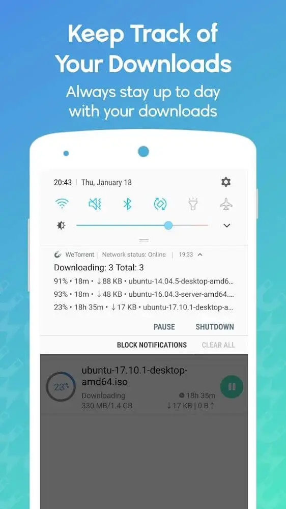 Screenshot of the WeTorrent app