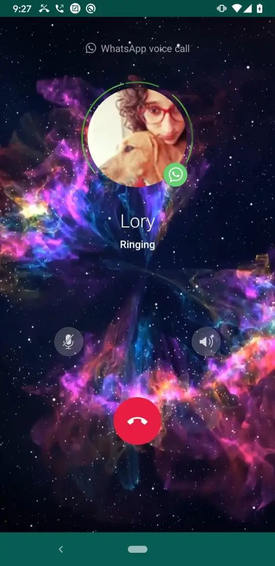 Screenshot of the WhatsApp Plus app