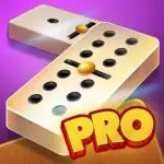 Dominoes Pro application logo