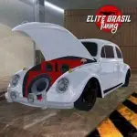 Elite Brasil Tuning application logo