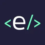 Enki application logo