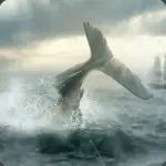 Moby Dick: Wild Hunting application logo