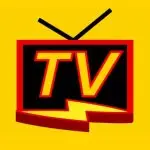 TNT Flash TV application logo