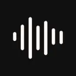 Voice Recorder Pro application logo