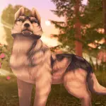 Wolf Tales application logo